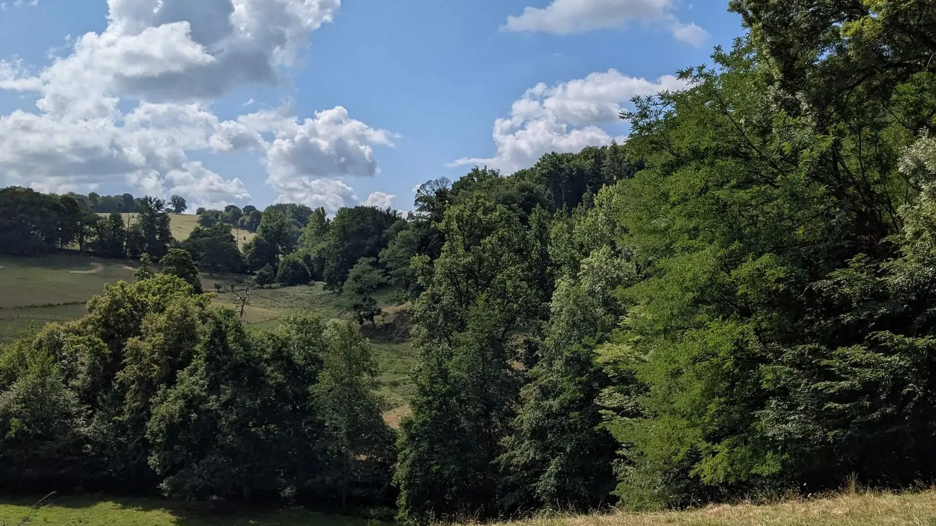 BoisJeansac10