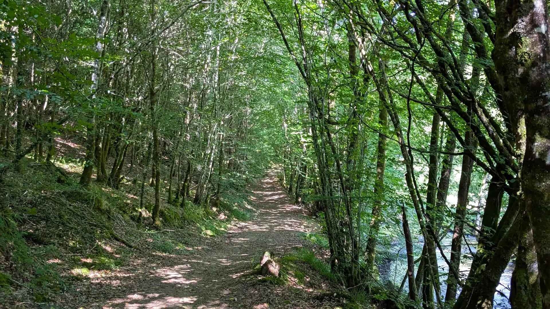BoisJeansac3