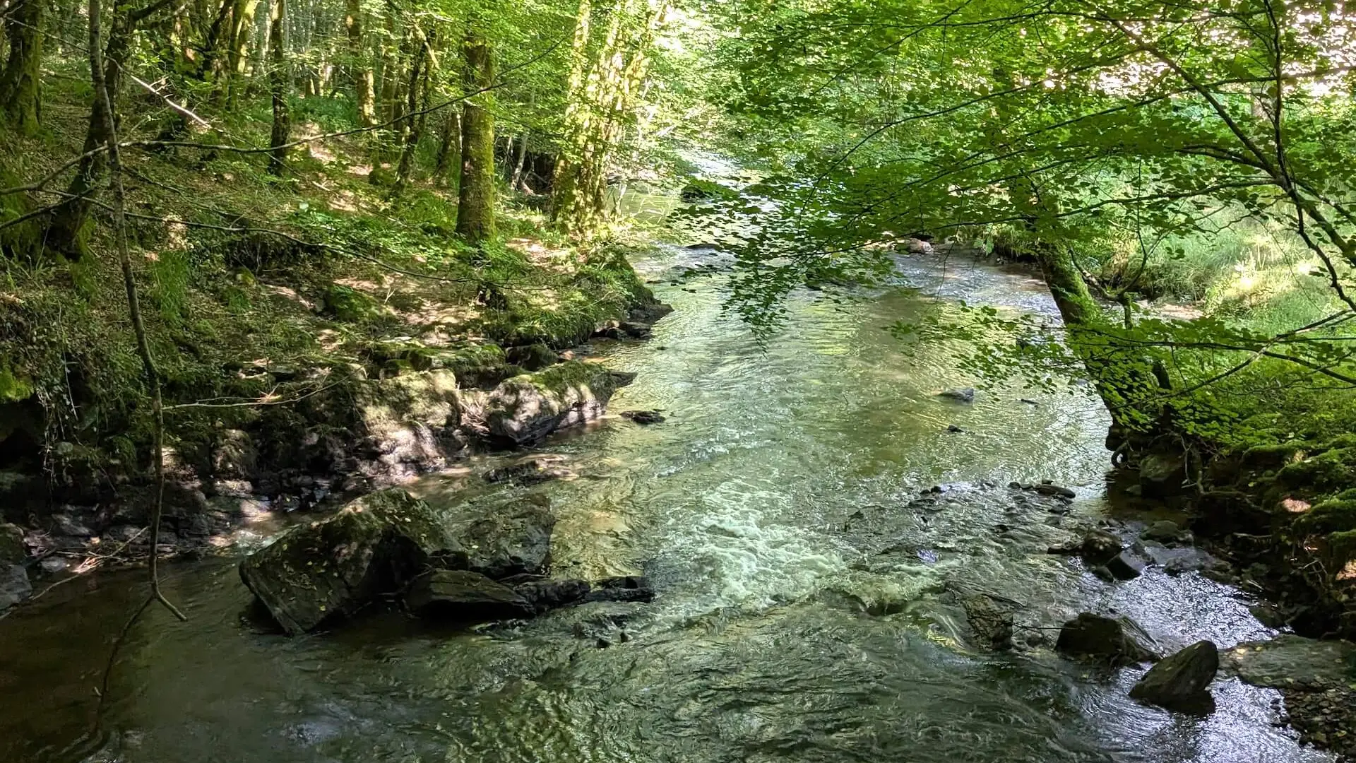 BoisJeansac6