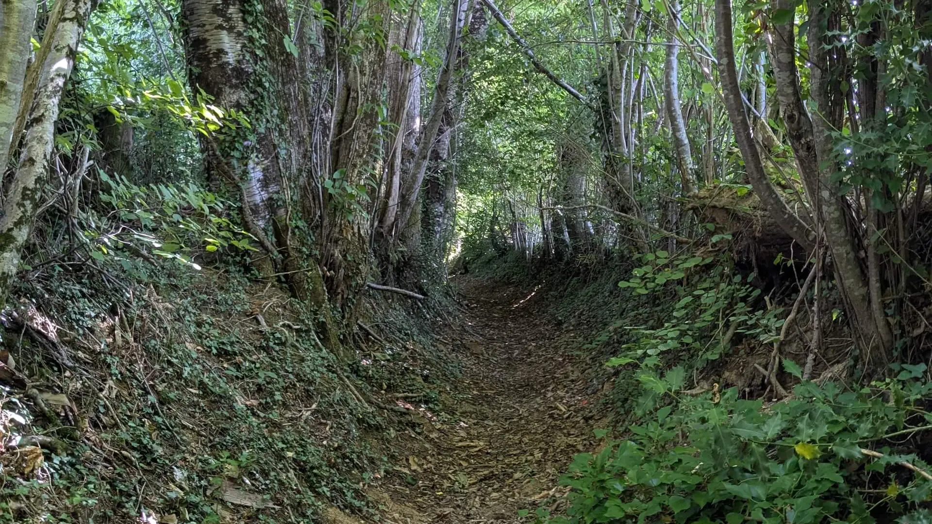 BoisJeansac9