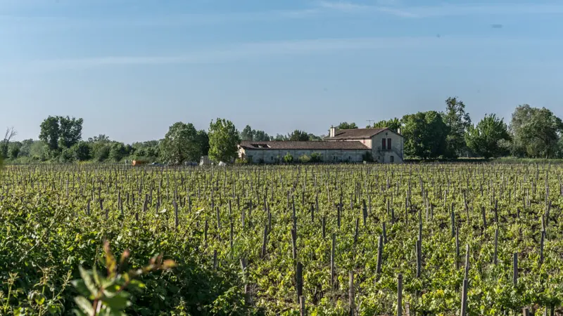 Bordemer-île-Margaux7