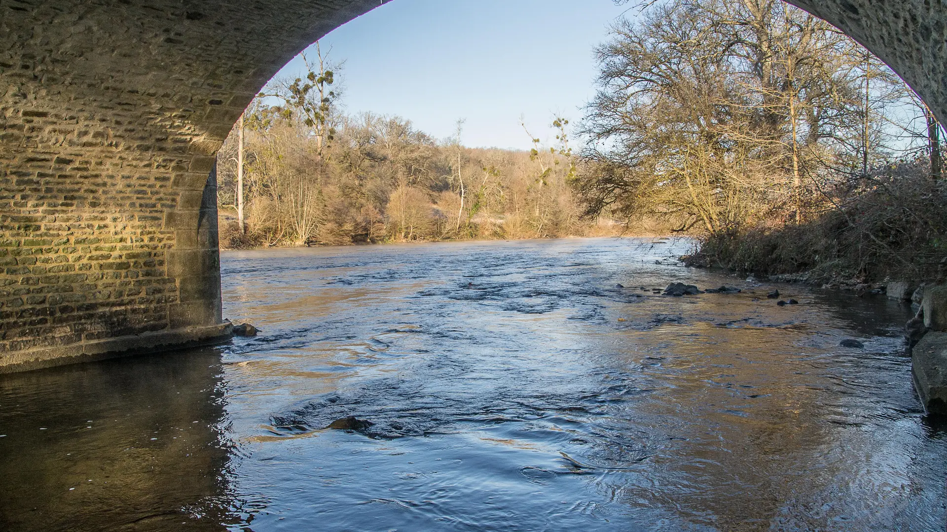Bords de Vienne vers Pont Gabie - Dec 2016 © Laetitia Chabernaud (7)