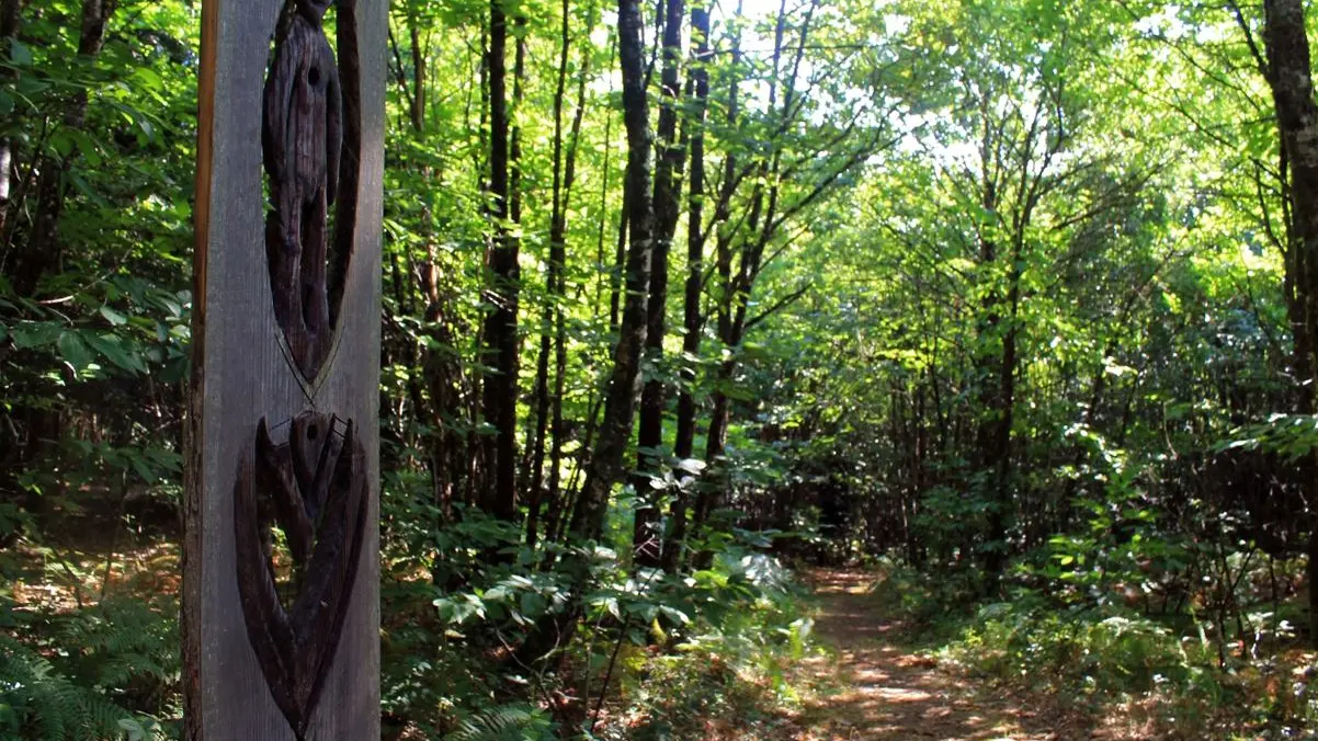 En poste dans la forêt de Boubon2