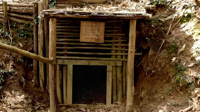 En poste dans la forêt de Boubon3