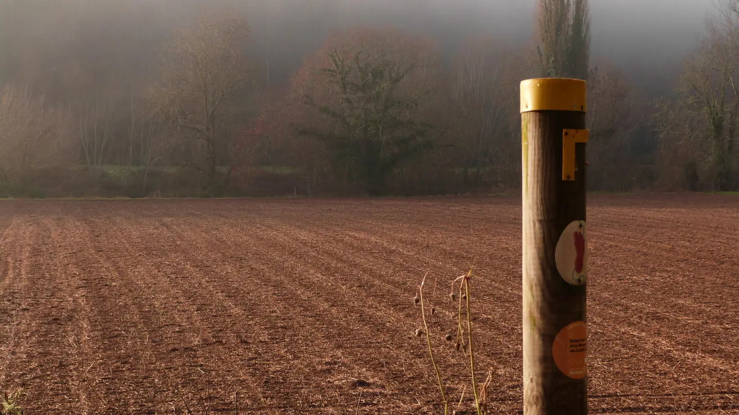 Boucle de la Micoque, Les Eyzies.6 ©ALR