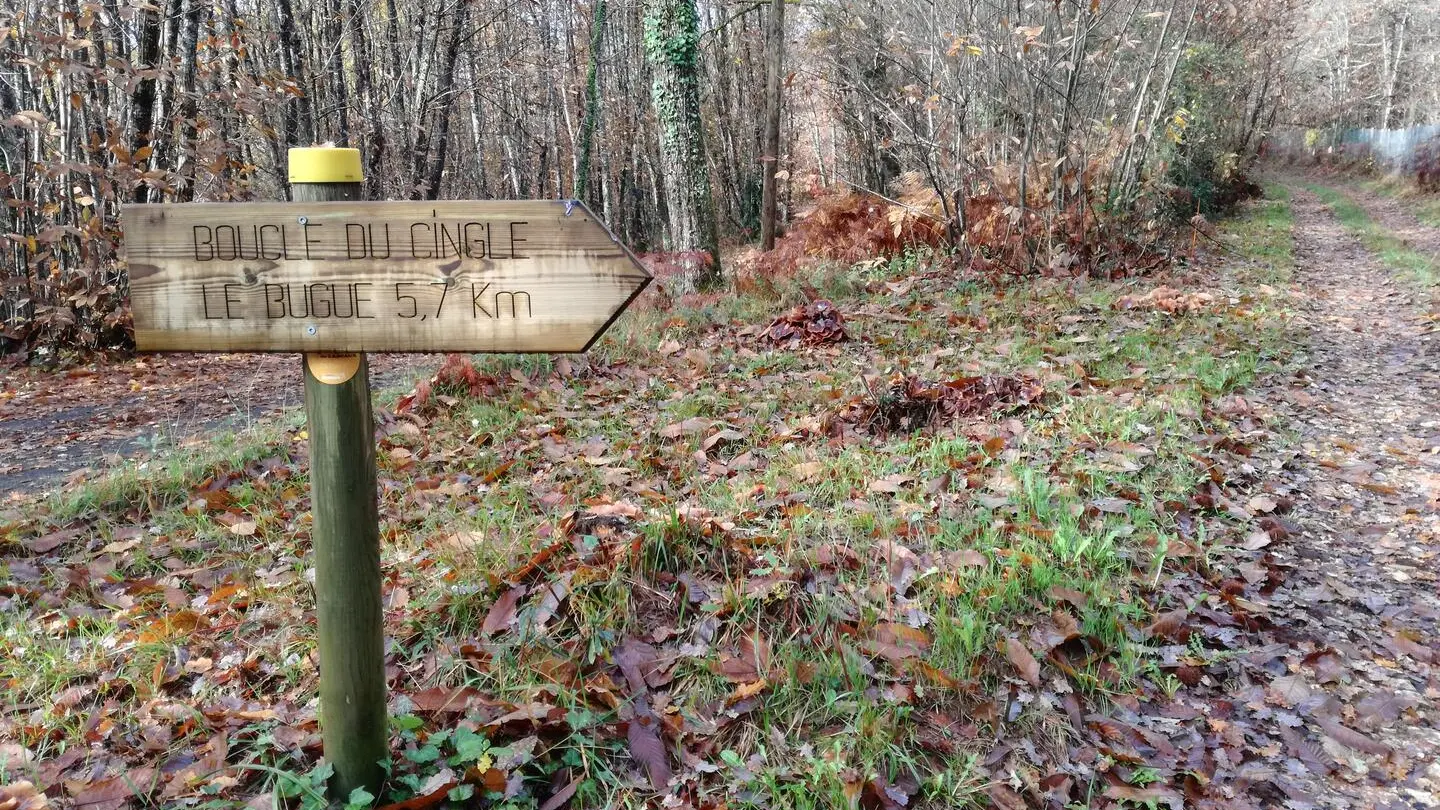 Boucle du cingle_Le Bugue_28112019 (46)