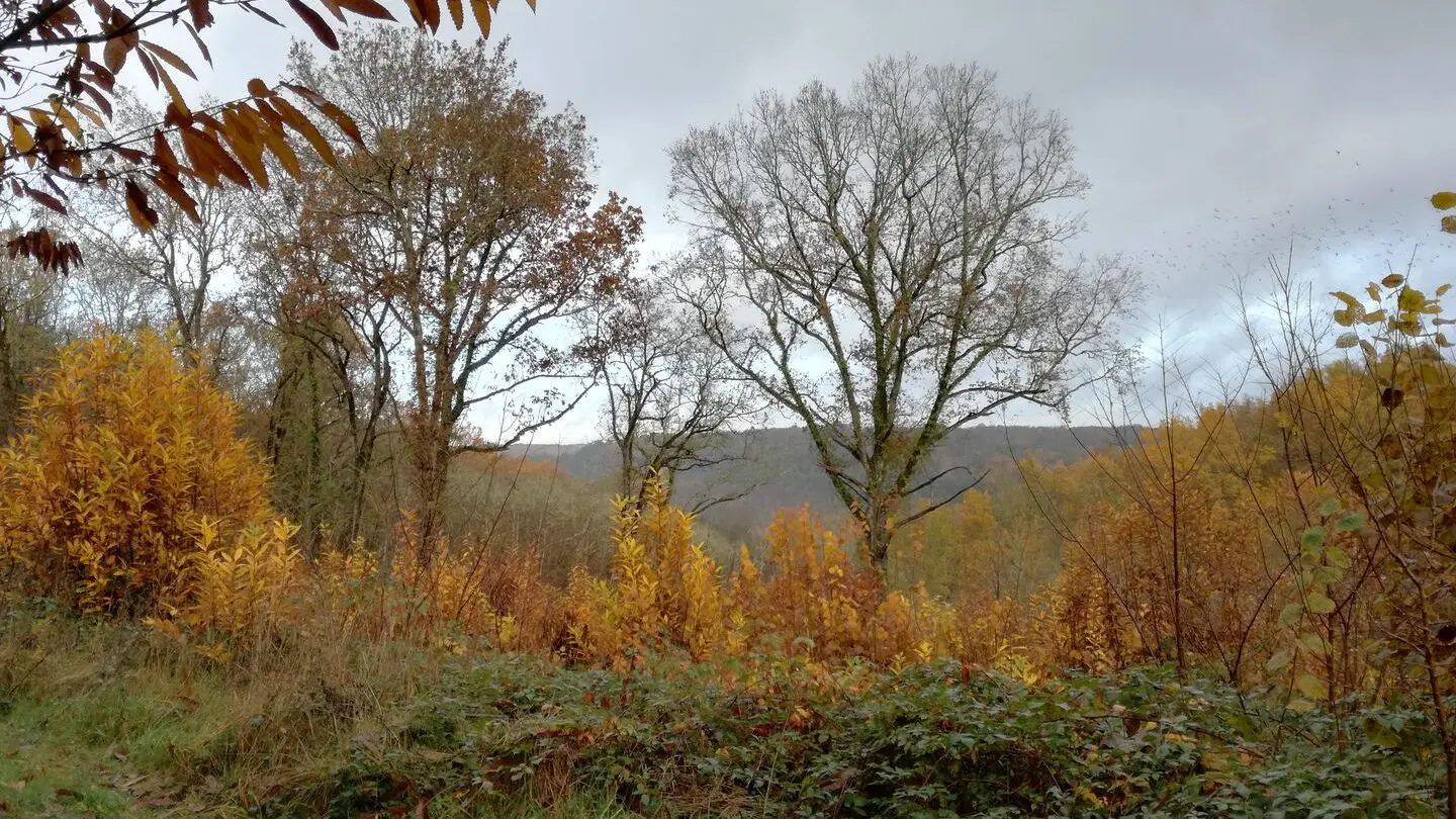 Boucle du cingle_Le Bugue_28112019 (29)