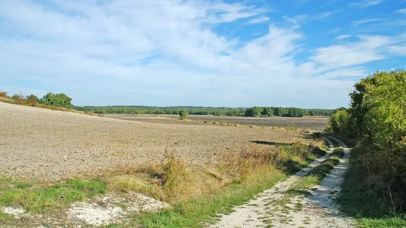 Boucle pdipr entrée est Monmadales