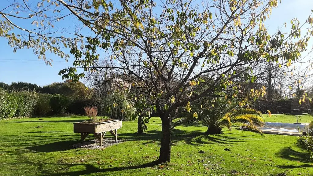 Budai - jardin verger