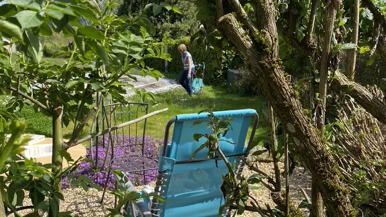 L'Orée de la forêt