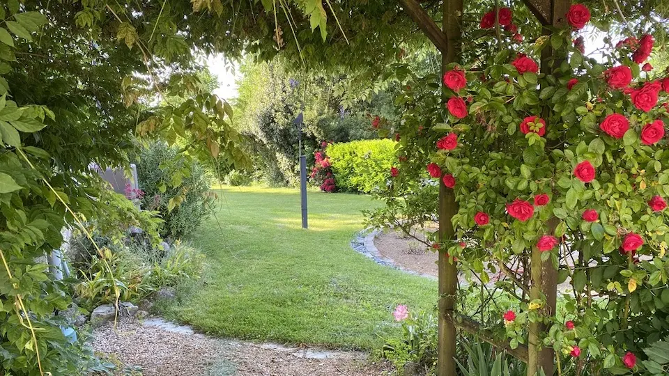 L'Orée de la forêt