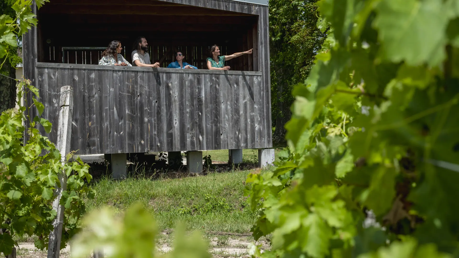CHATEAU_LAMOTHE_BERGERON©Claude Clin-1110377