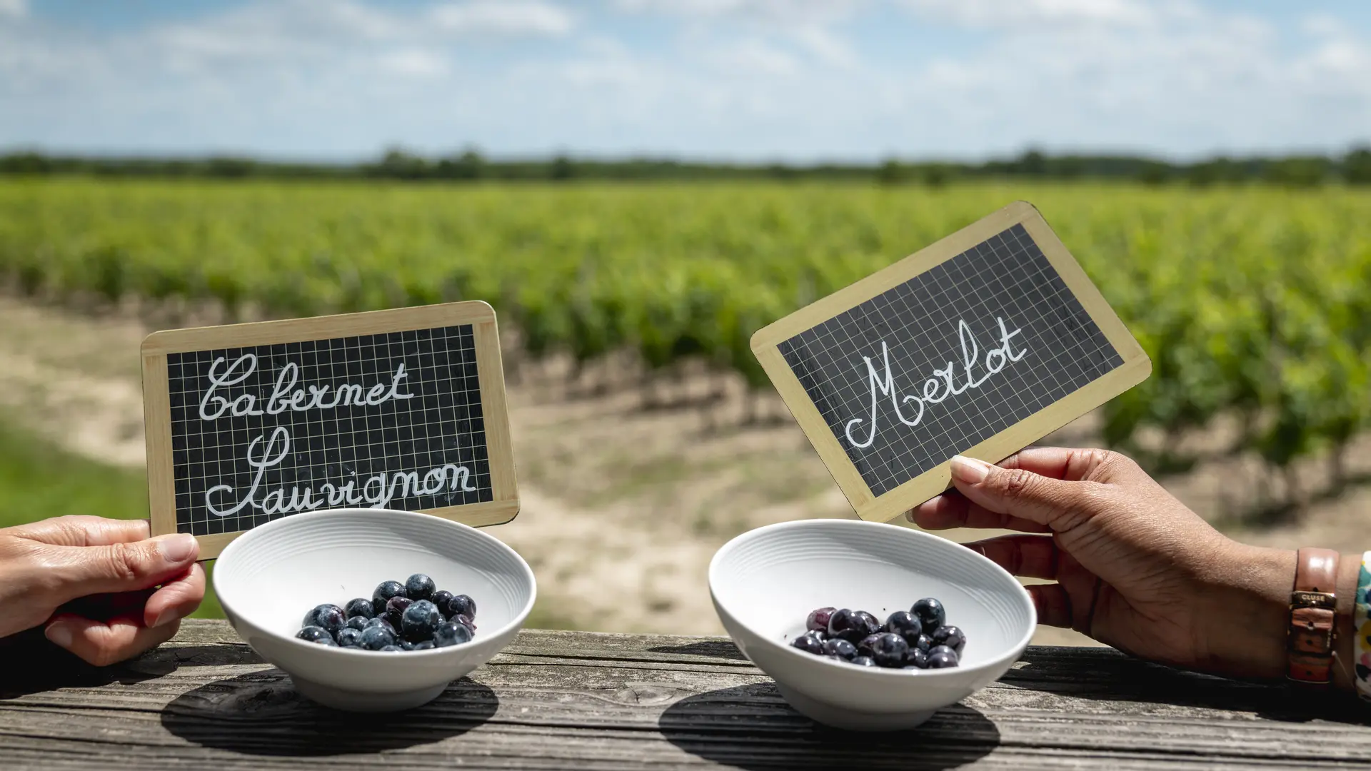 CHATEAU_LAMOTHE_BERGERON