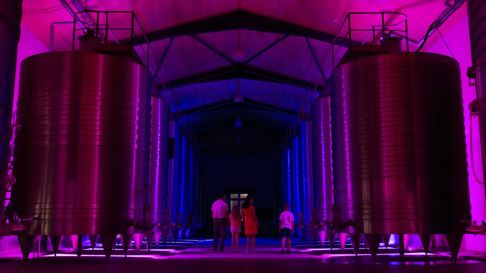 CHATEAU_LAMOTHE_BERGERON_Low©Claude Clin-1130160