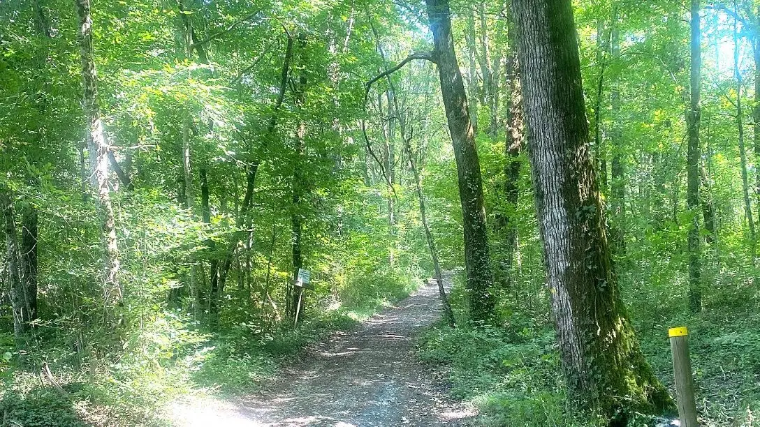 CORNILLE-Boucle des étangs-Chemin-Poteau