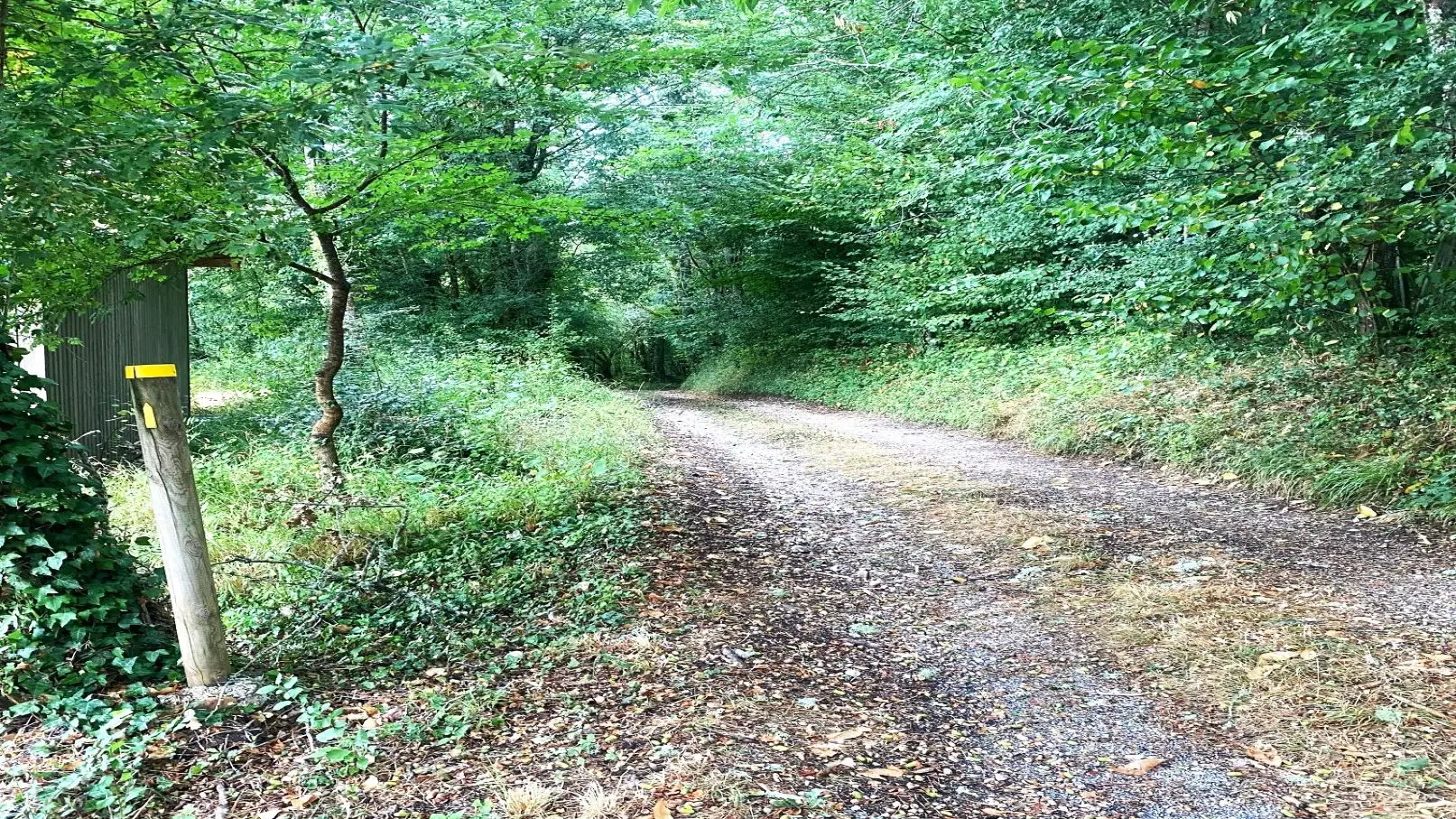CREYSSENSAC-ET-PISSOT-Boucle de l'écureuil-Chemin-Poteau
