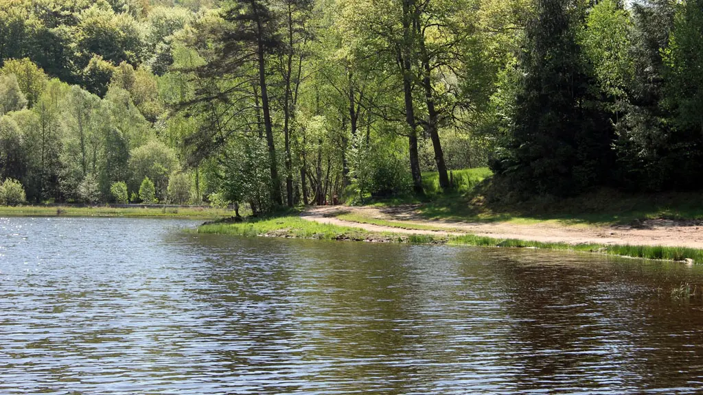 Camping municipal de l'Enclose_8