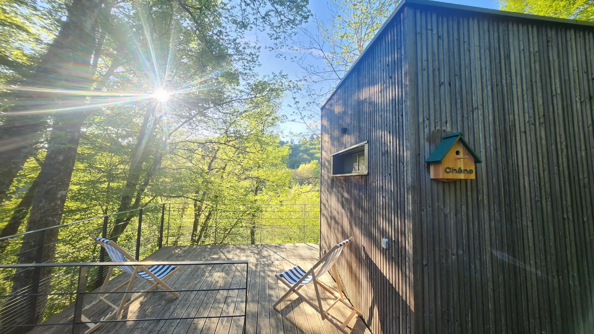 Cabane Chêne