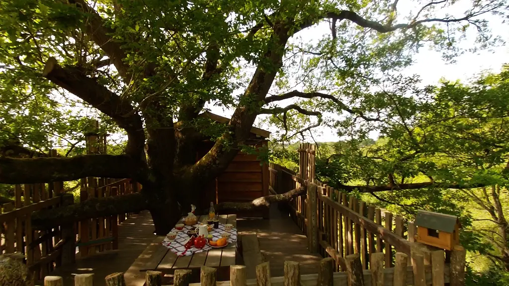 Cabane Papyjotte - petit déjeuner sur terrasse privée