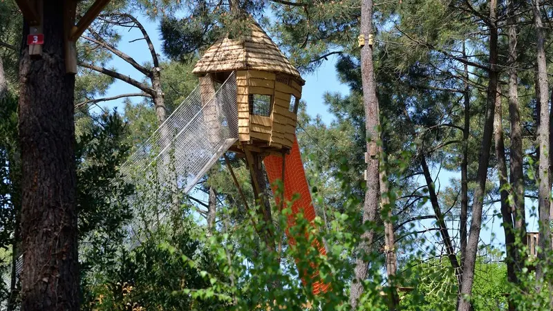 Cabane-perchA-e-2 (1) 800x600