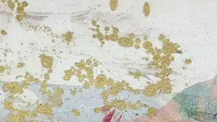 Capture d’écran 2025-11-25 160944