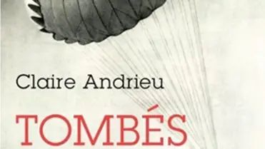 Couverture - Tombés du ciel. Le sort des pilotes abattus en Europe, 1939-1945.