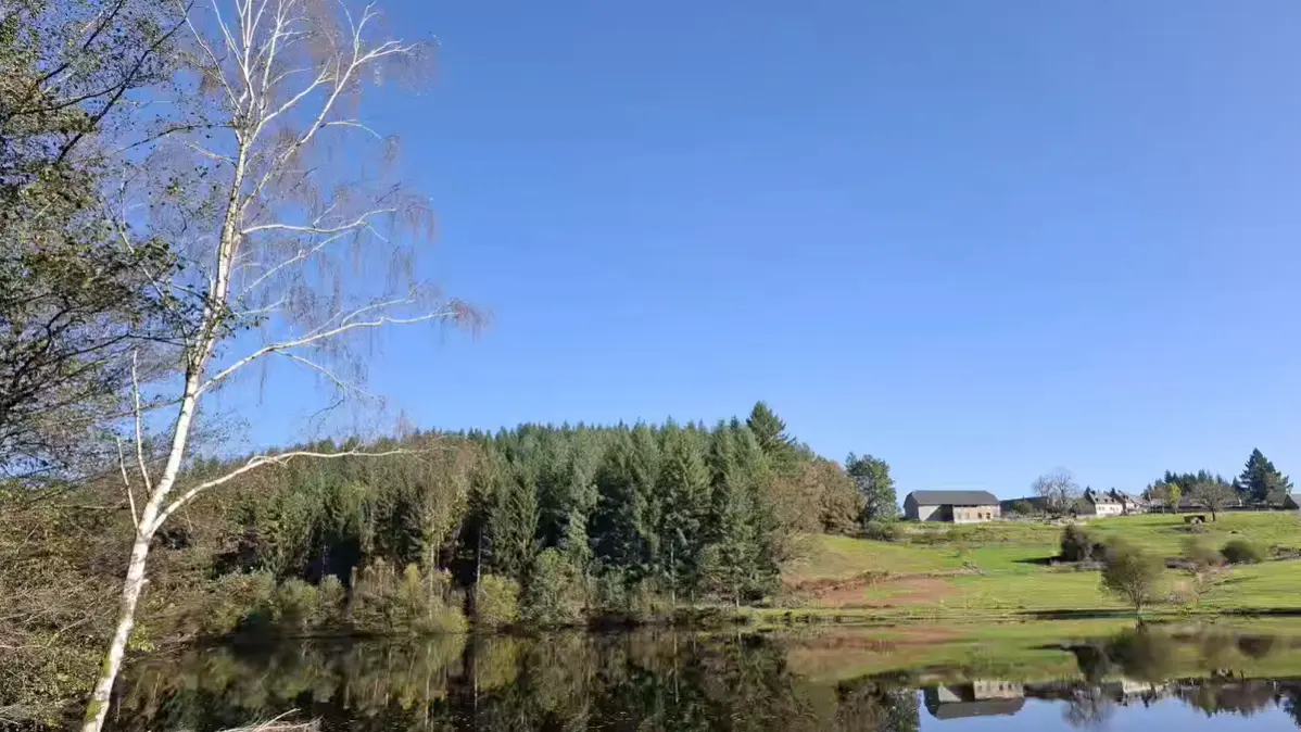 Capture-decran-2024-11-26-154843