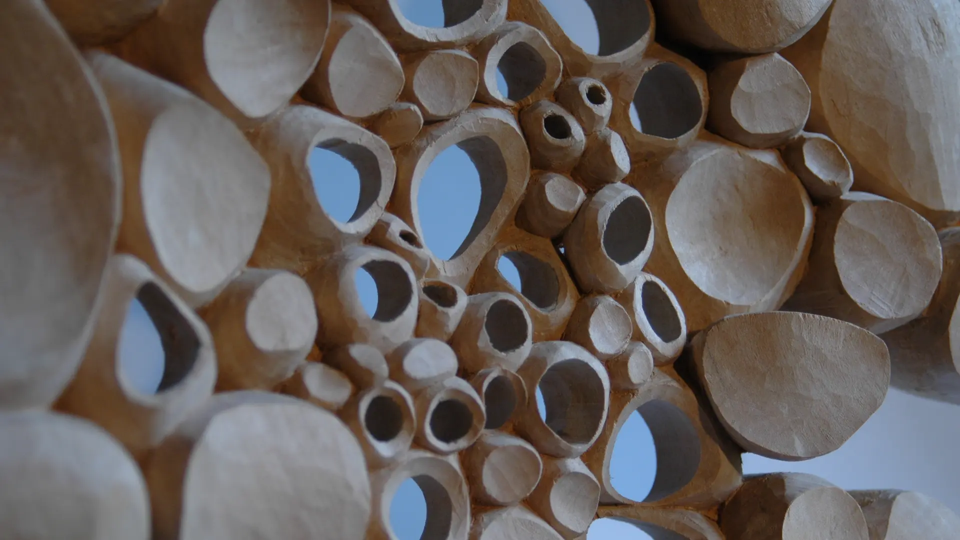 Cellules de Matière