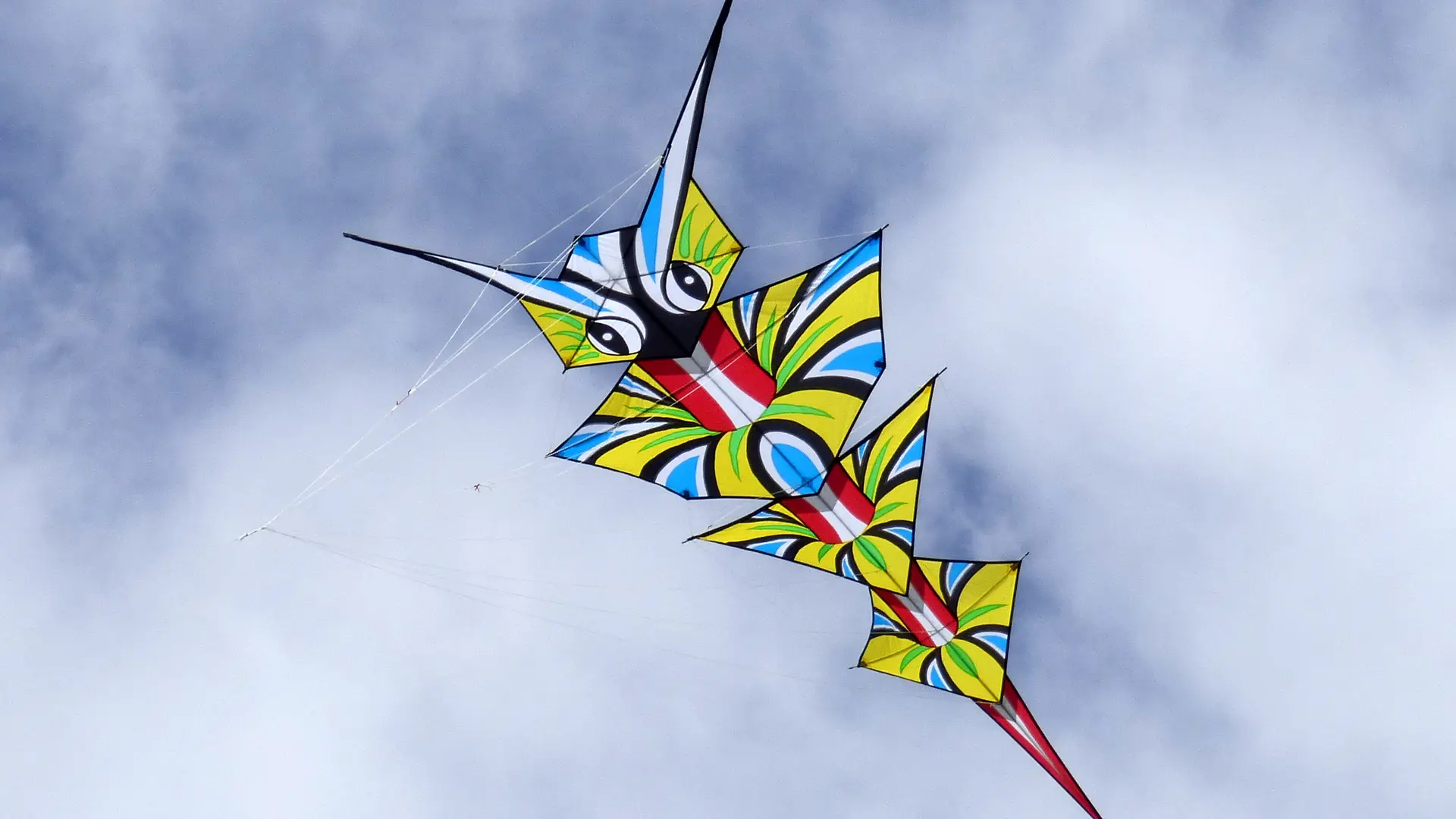 Cerf-volant le Diadème