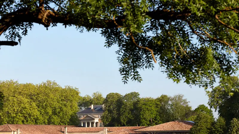 Château-Margaux13