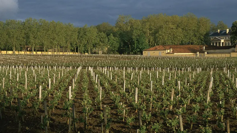 Château-Margaux14