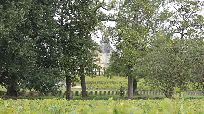 Château Marquis d'Alesme06