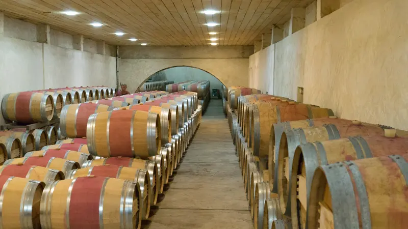 Château-Maucamps3