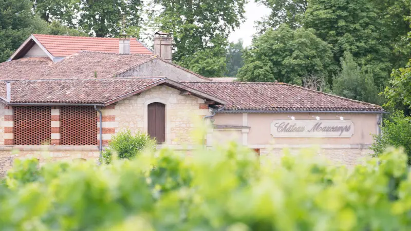 Château-Maucamps9