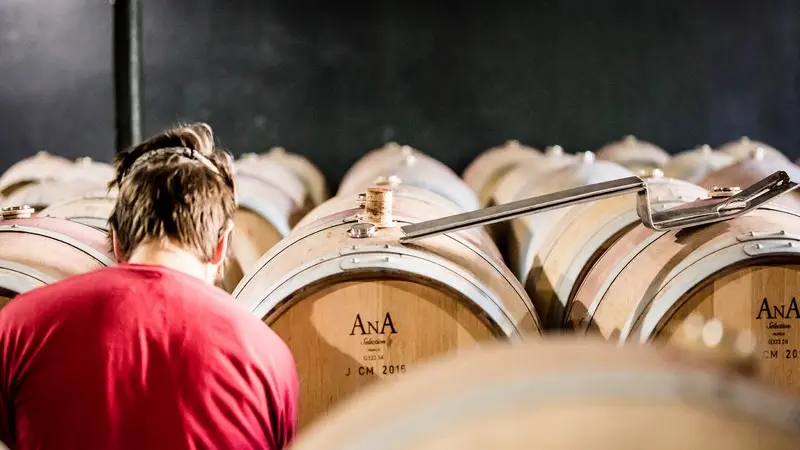 Château Angludet chai1