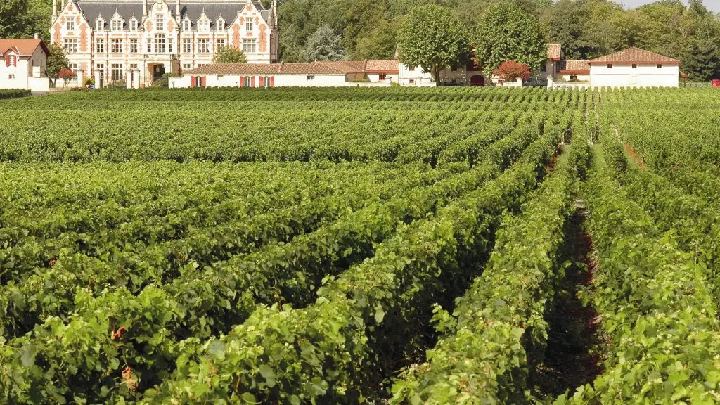Château Cantenac Brown - Le château et les vignobles