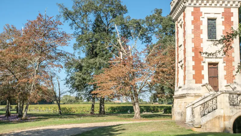 Château-Cantenac-Brown6