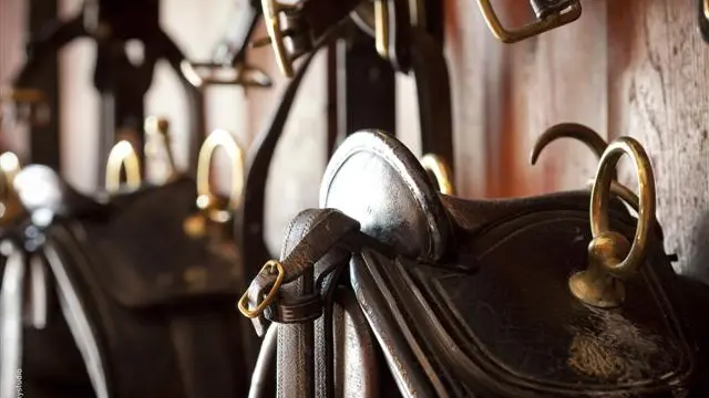 Château Lanessan - Sellerie