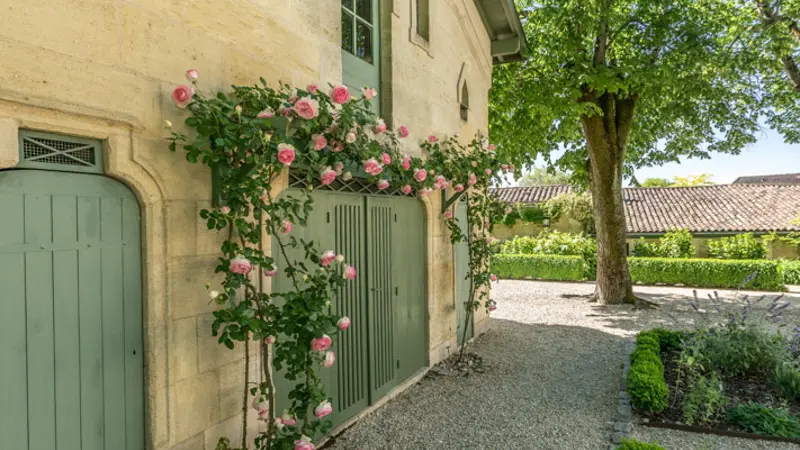 Château-Palmer11