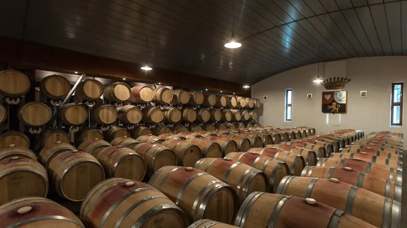 Château-Pouget7