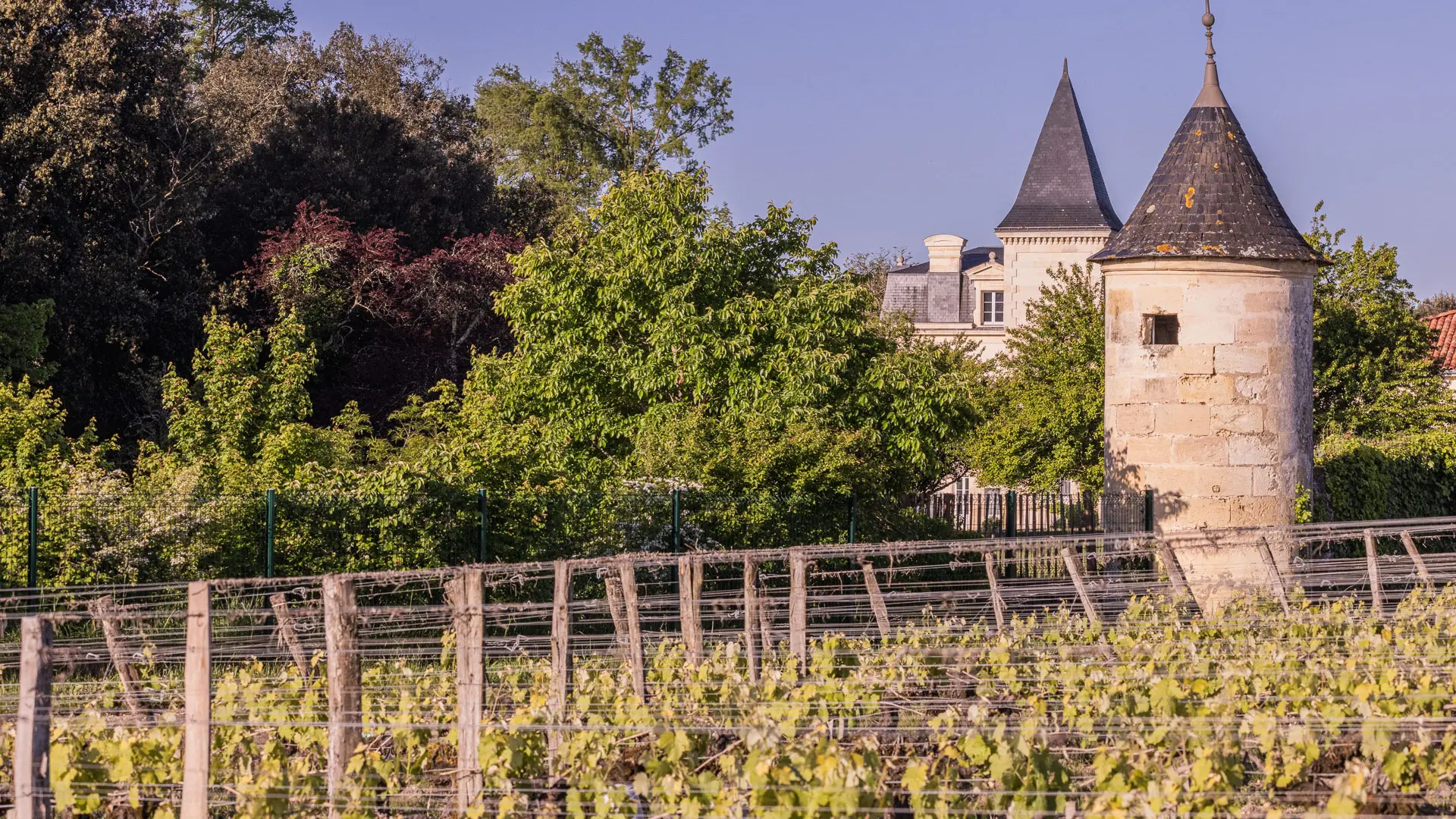 Chateau Senejac