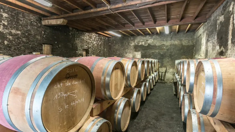 Château-de-Coudot1