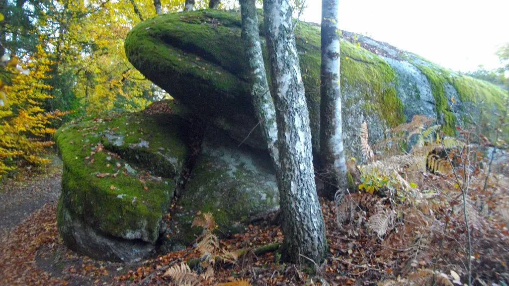 Chaveroche_Rocher_Poule