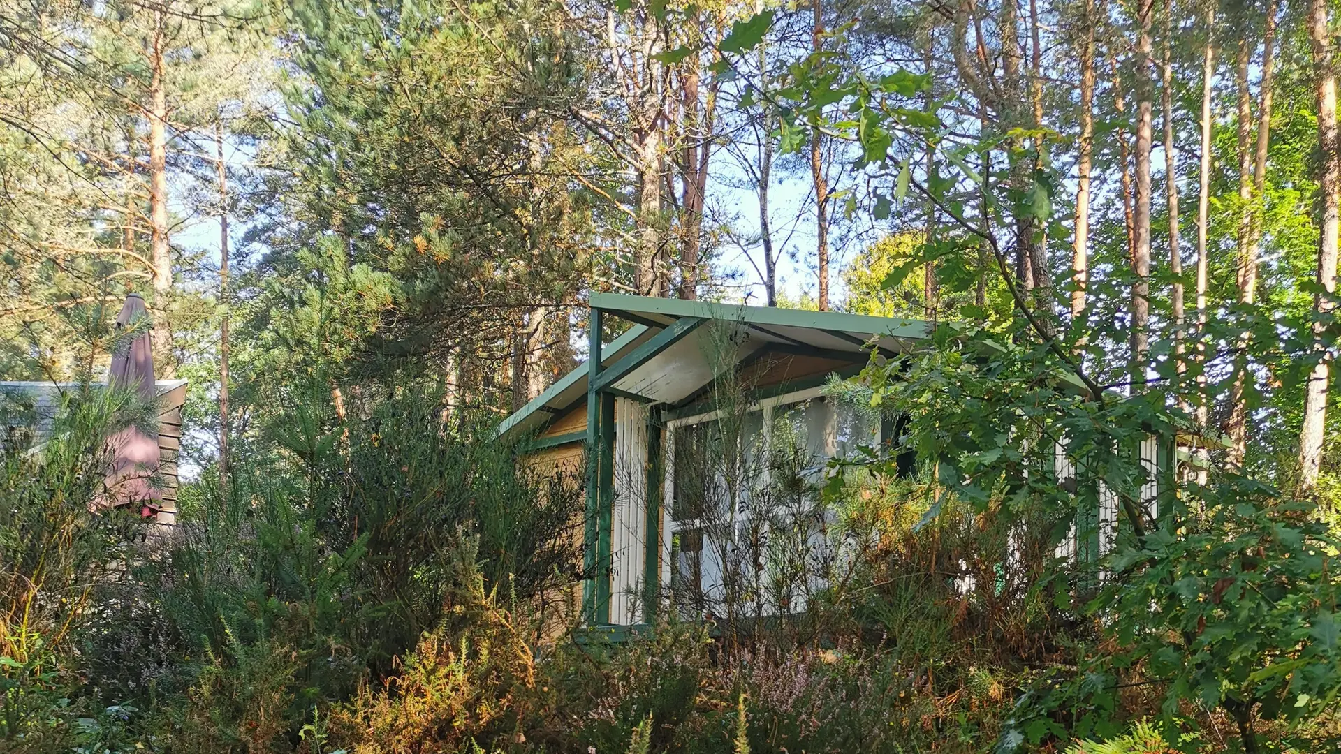 Chalet-dans-un-ecrin-de-verdure