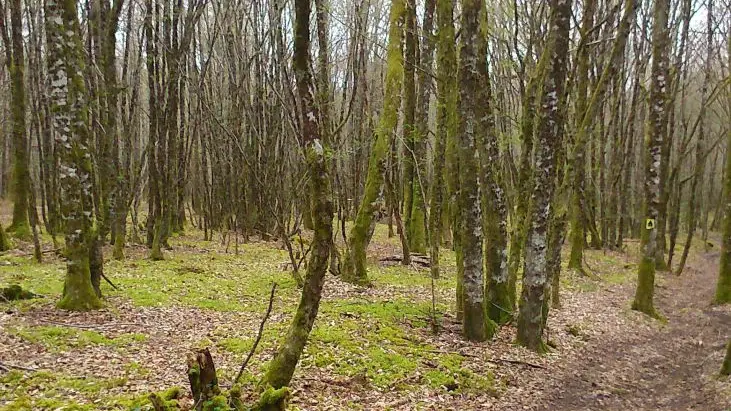 Chemin Lardoux