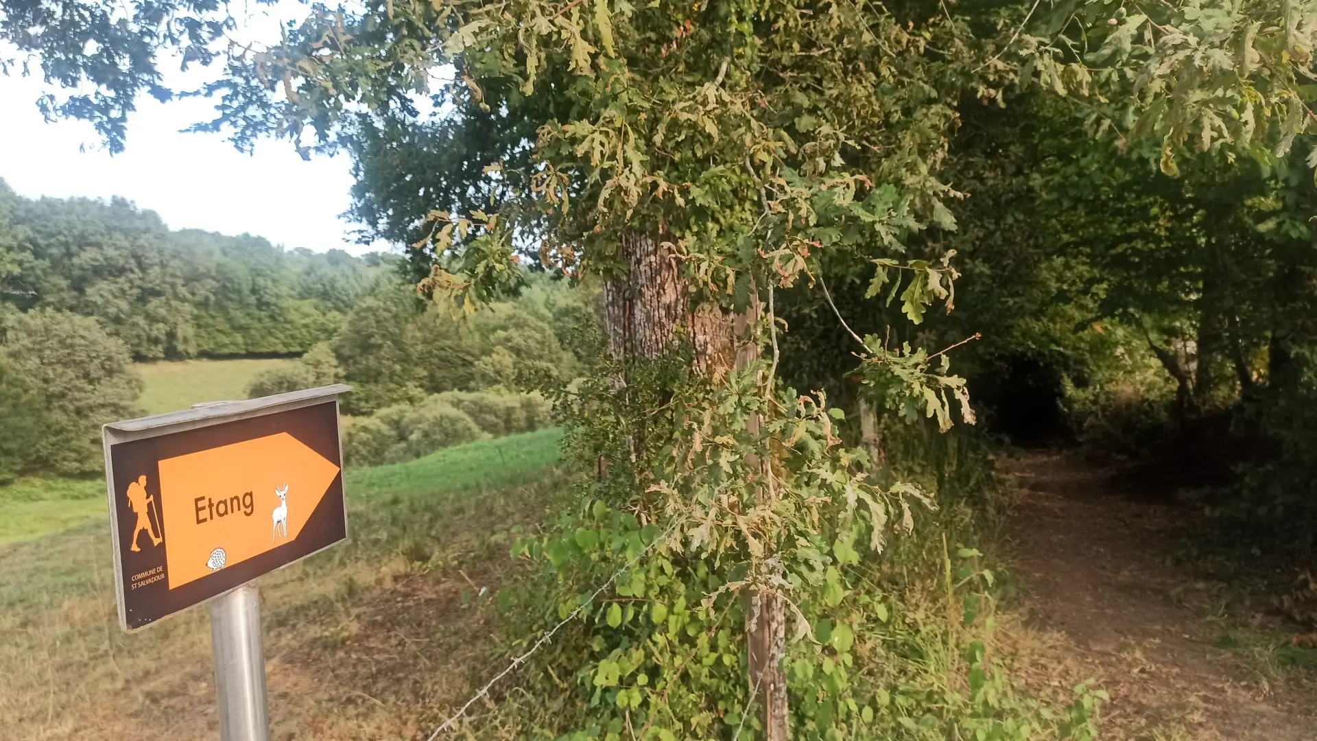 Chemin vers l'étang St Salv.