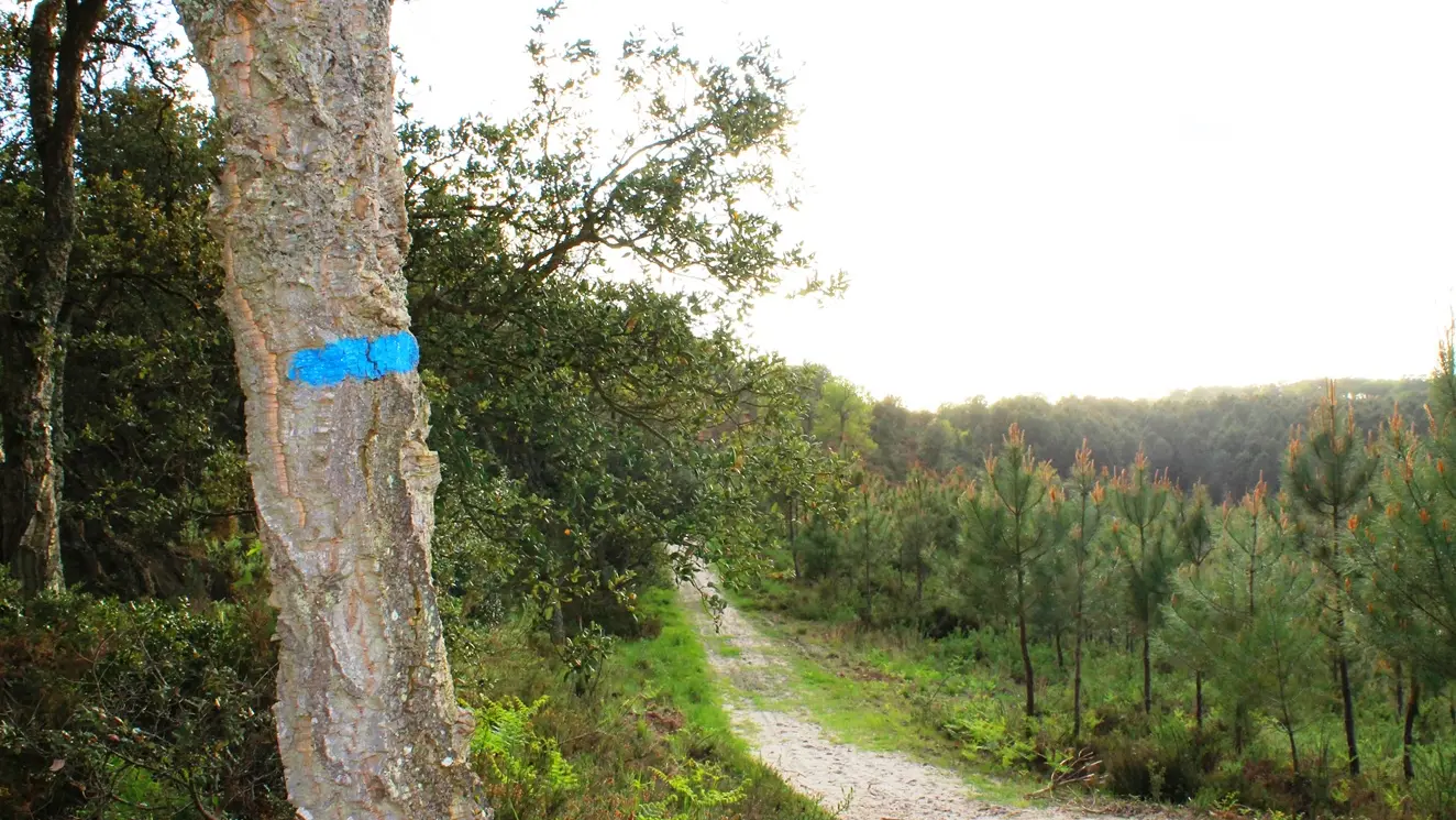 randonnée sur le circuit bleu des Tucs