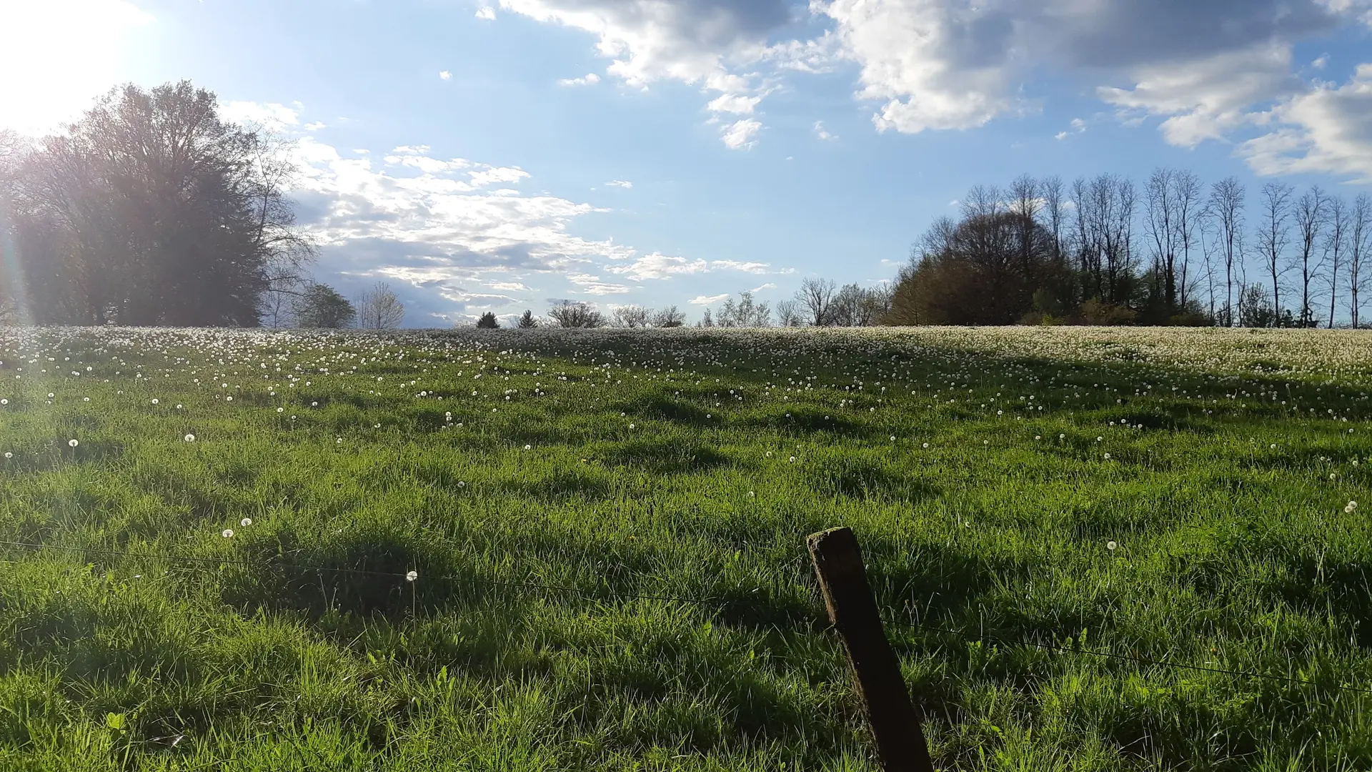 Circuit des 2 Bourgs -Eyburie © A.Blanchet - Office de Tourisme Terres de Corrèze (55)