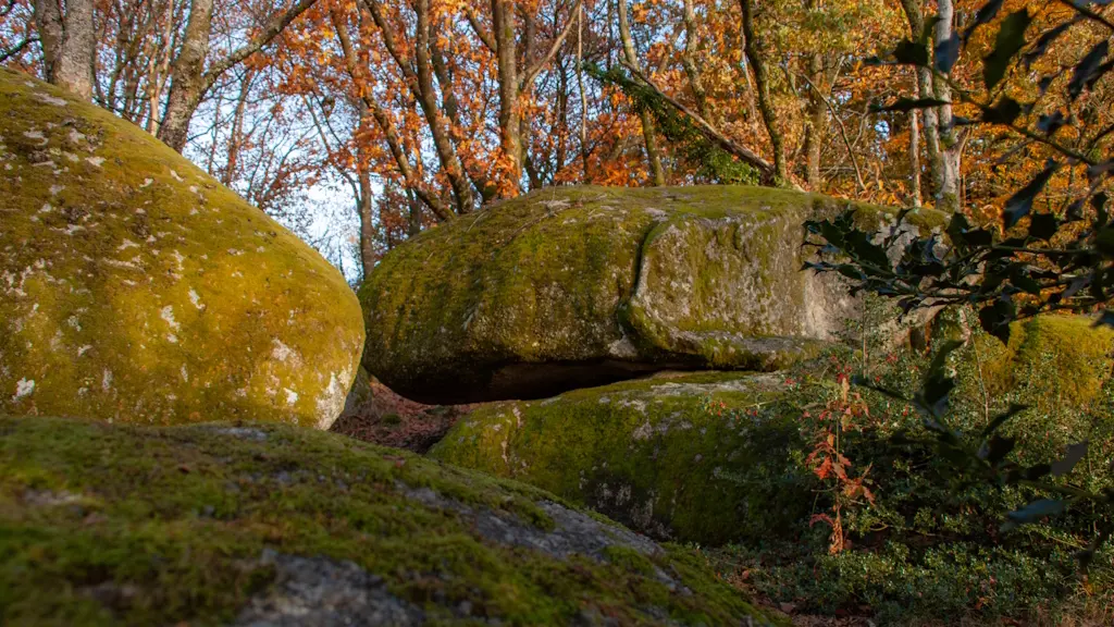 Rochers de Puychaud