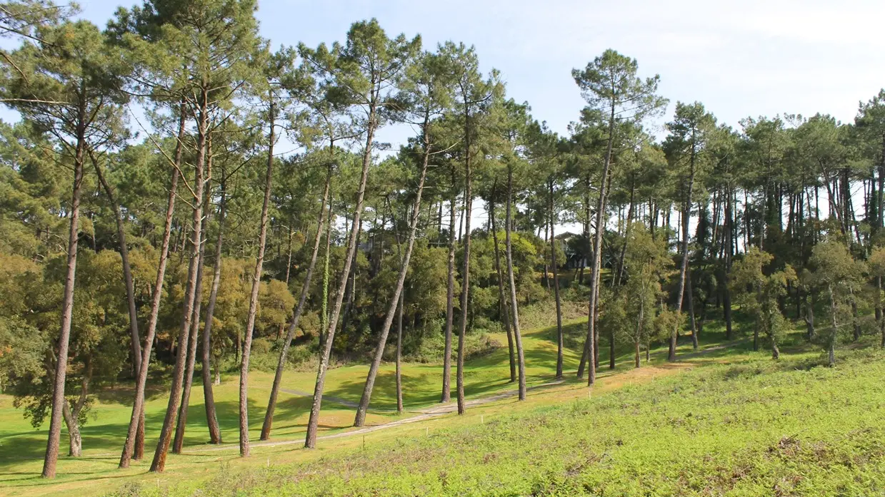 randonnée sur le sentier jaune